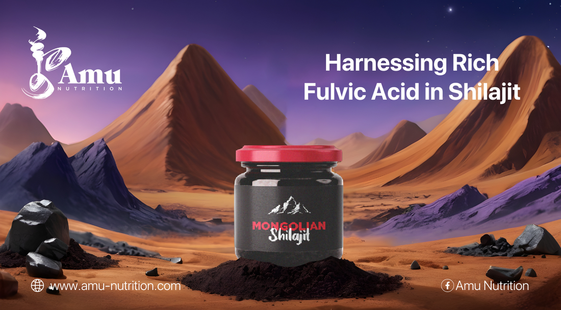 Discover the Power of Fulvic Acid Elevate Your Wellness Naturally (2)