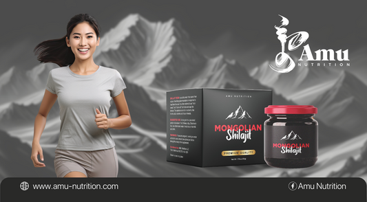 Integrating Shilajit into Your Daily Routine