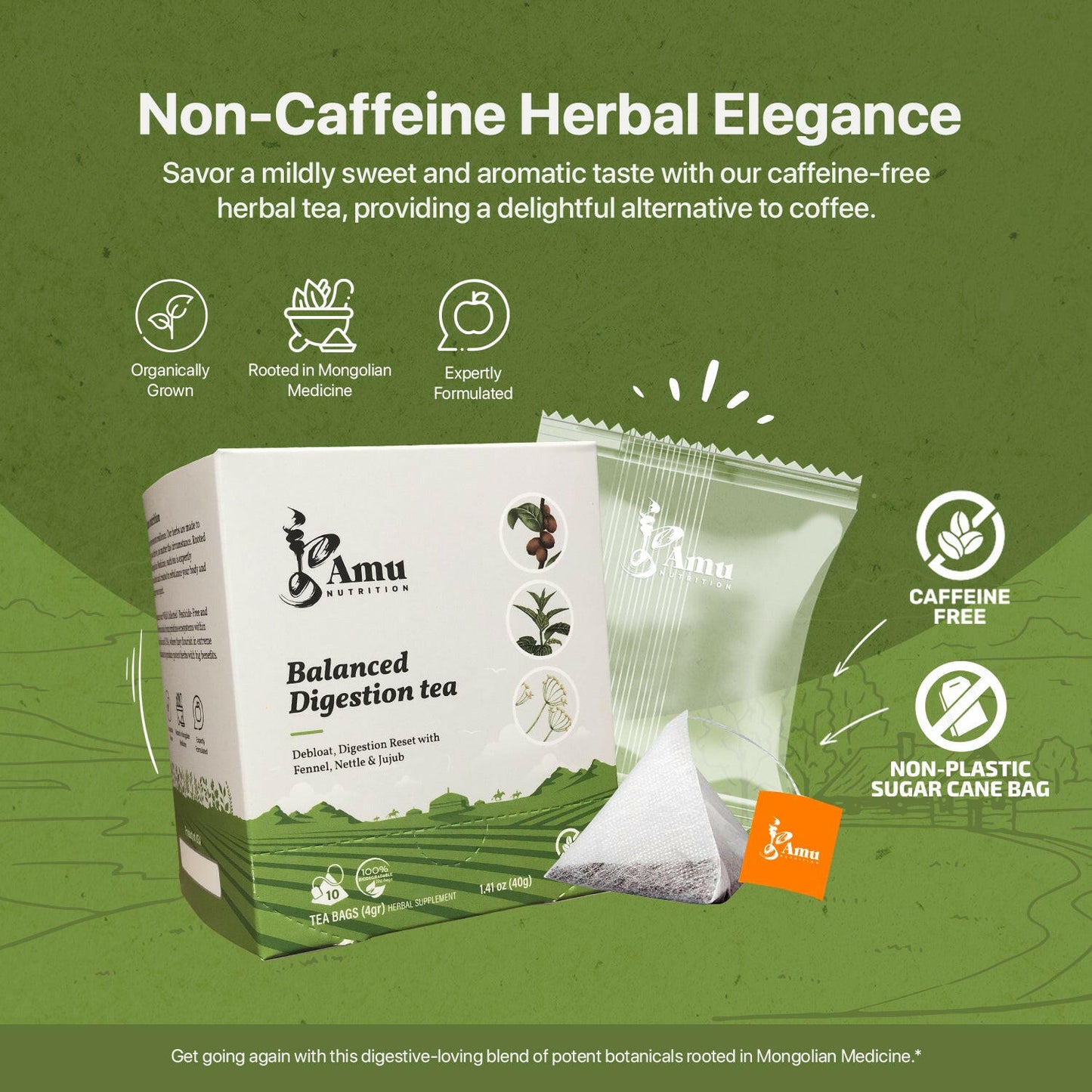 Debloat & Digestion reset tea with 10 sugarcane tbgs.