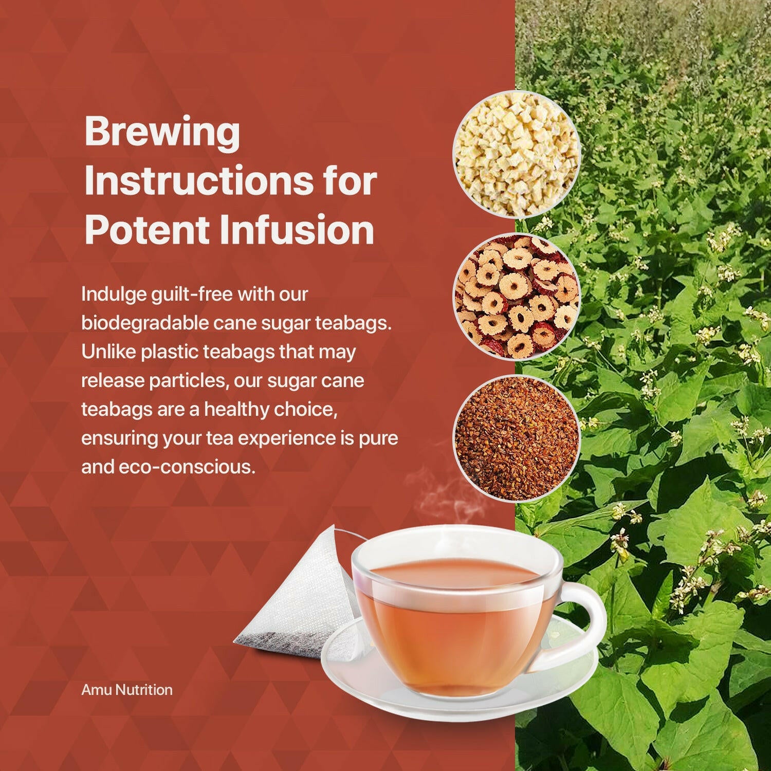 Sugar balance tea with 10 sugarcane tbgs / anti diabetic tea