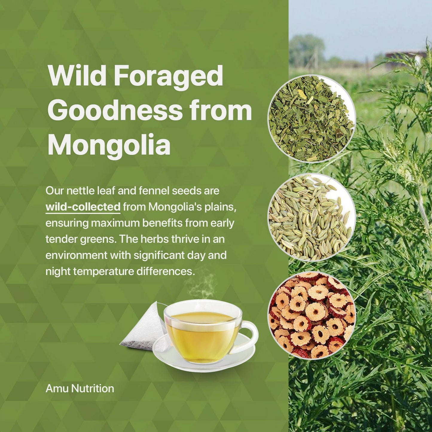 Debloat & Digestion reset tea with 10 sugarcane tbgs.