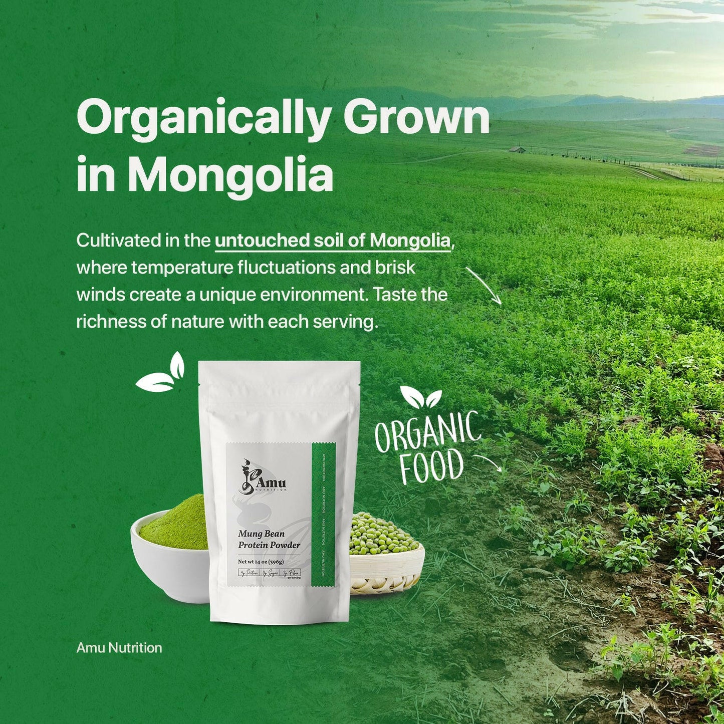 Roasted Mung Bean Powder.