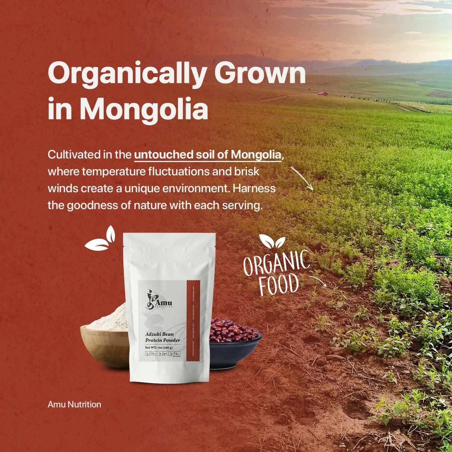 Roasted Adzuki bean powder.