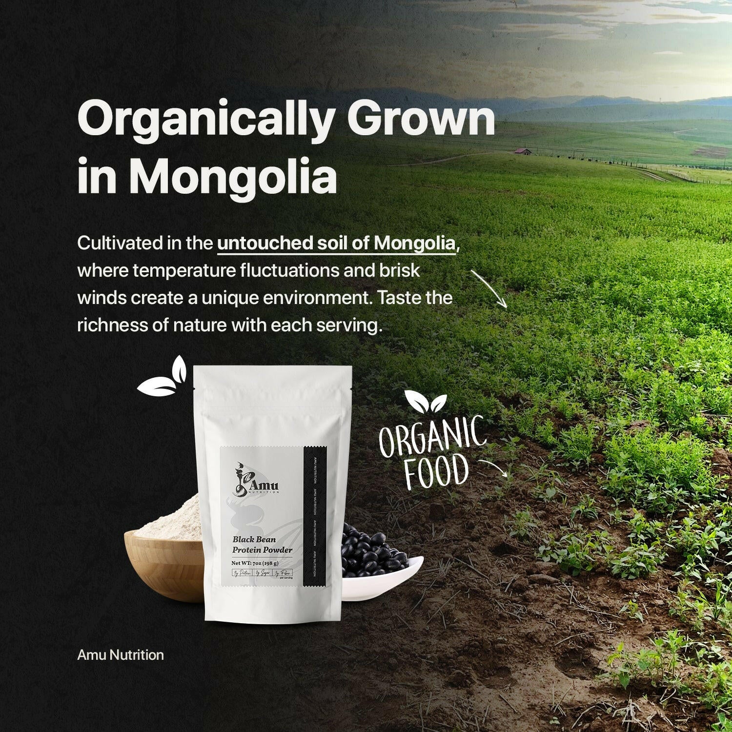 Roasted Black bean powder.