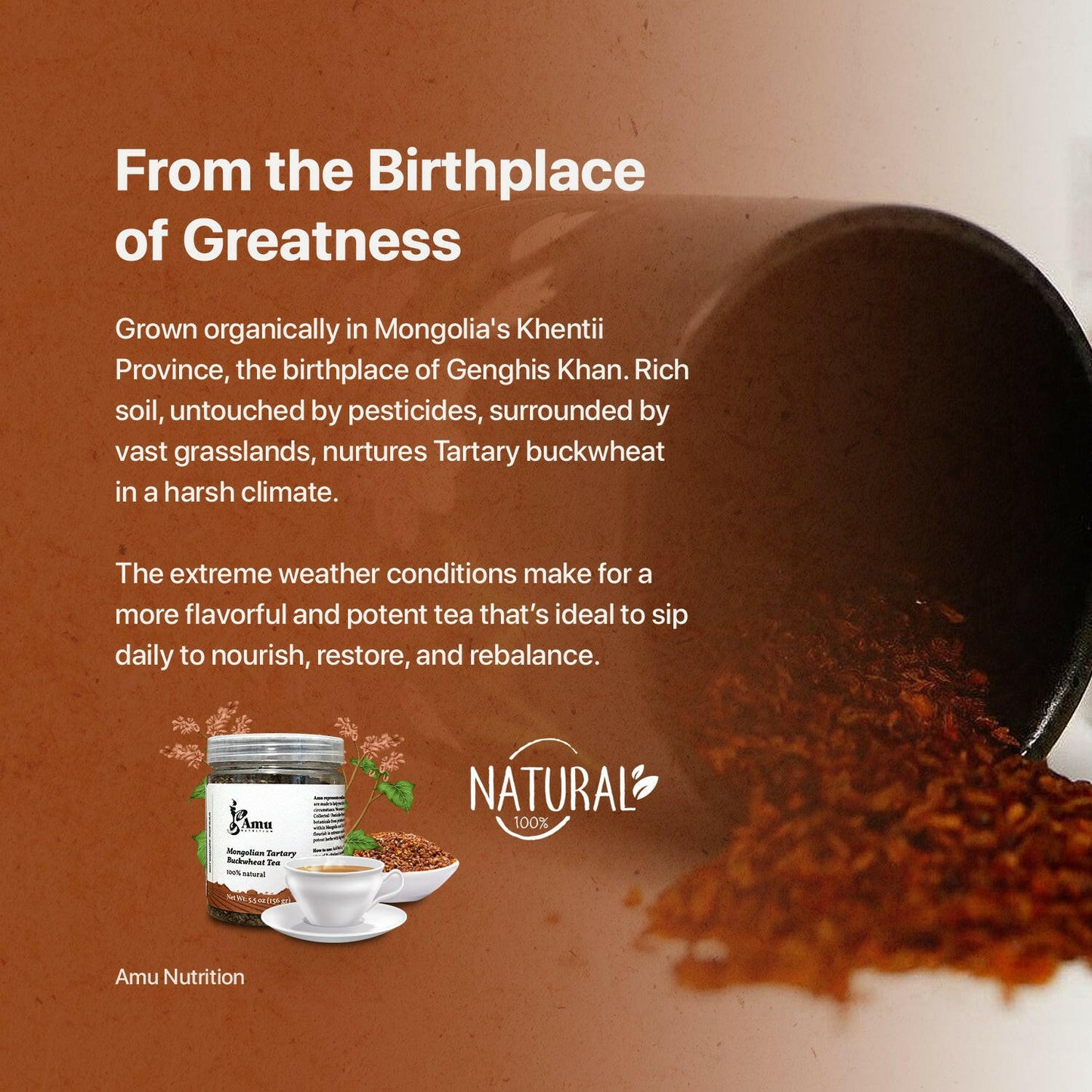 Himalayan Tartary buckwheat tea Bulk /Himalayan buckwheat tea