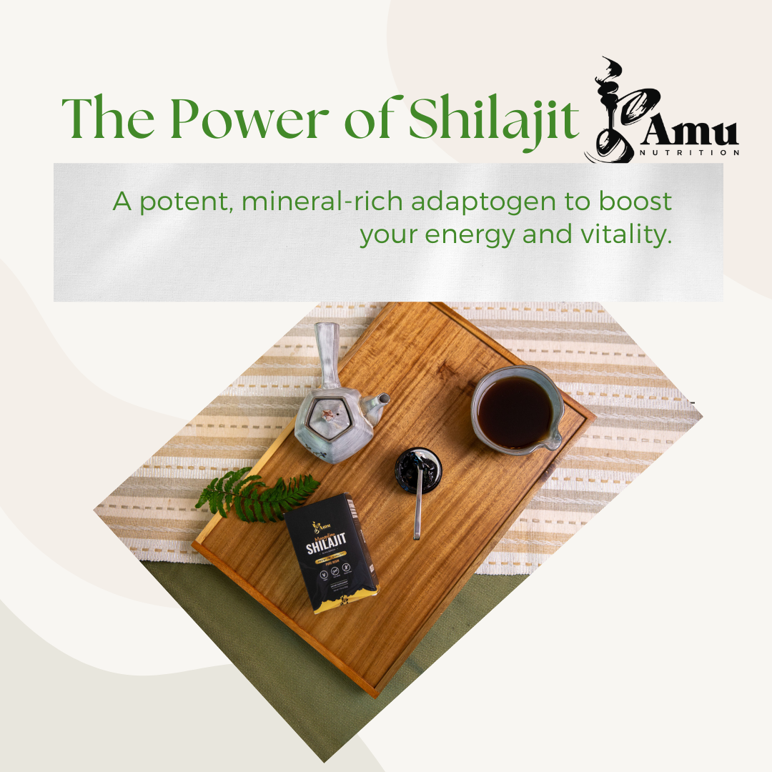 TEATOX & SHILAJIT Journey Kit-10