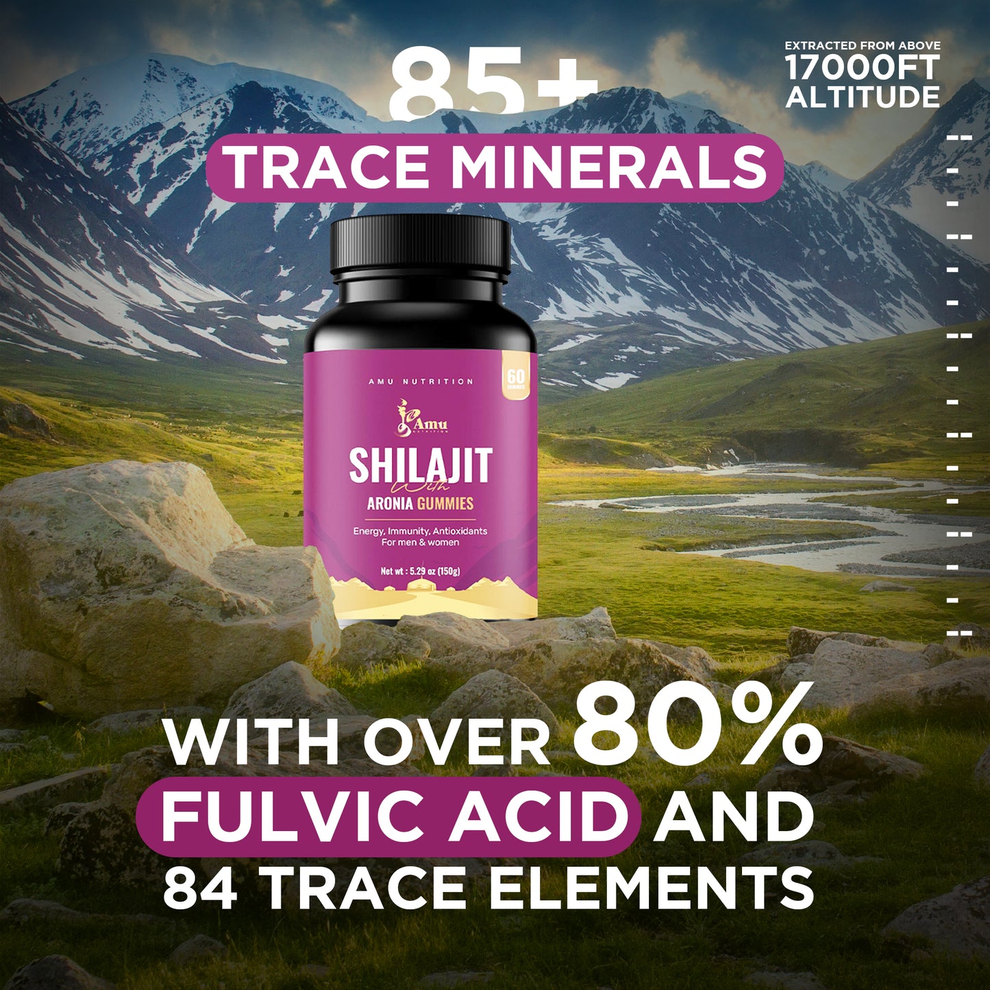 Shilajit with Aronia Gummies for Men & Women 60 ct