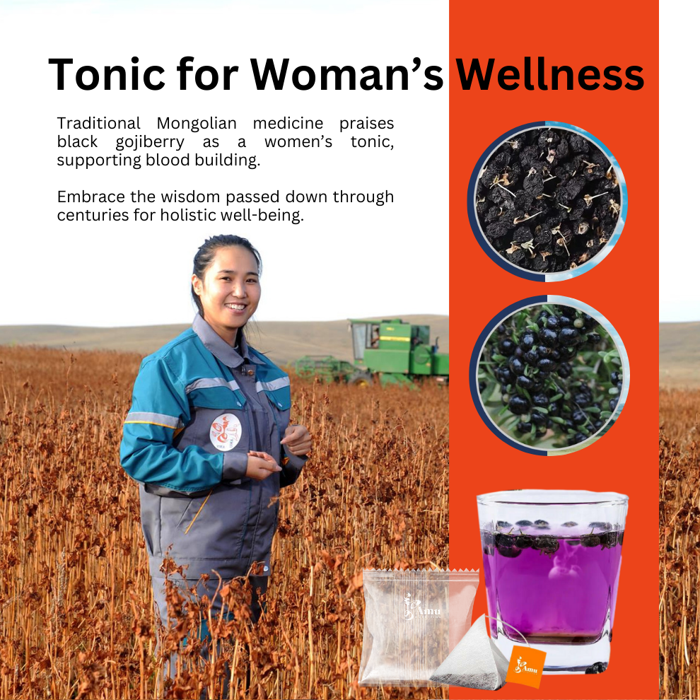 Mongolian Black Goji Berry Tea – Desert-grown antioxidant powerhouse - 15 sugarcane teabags