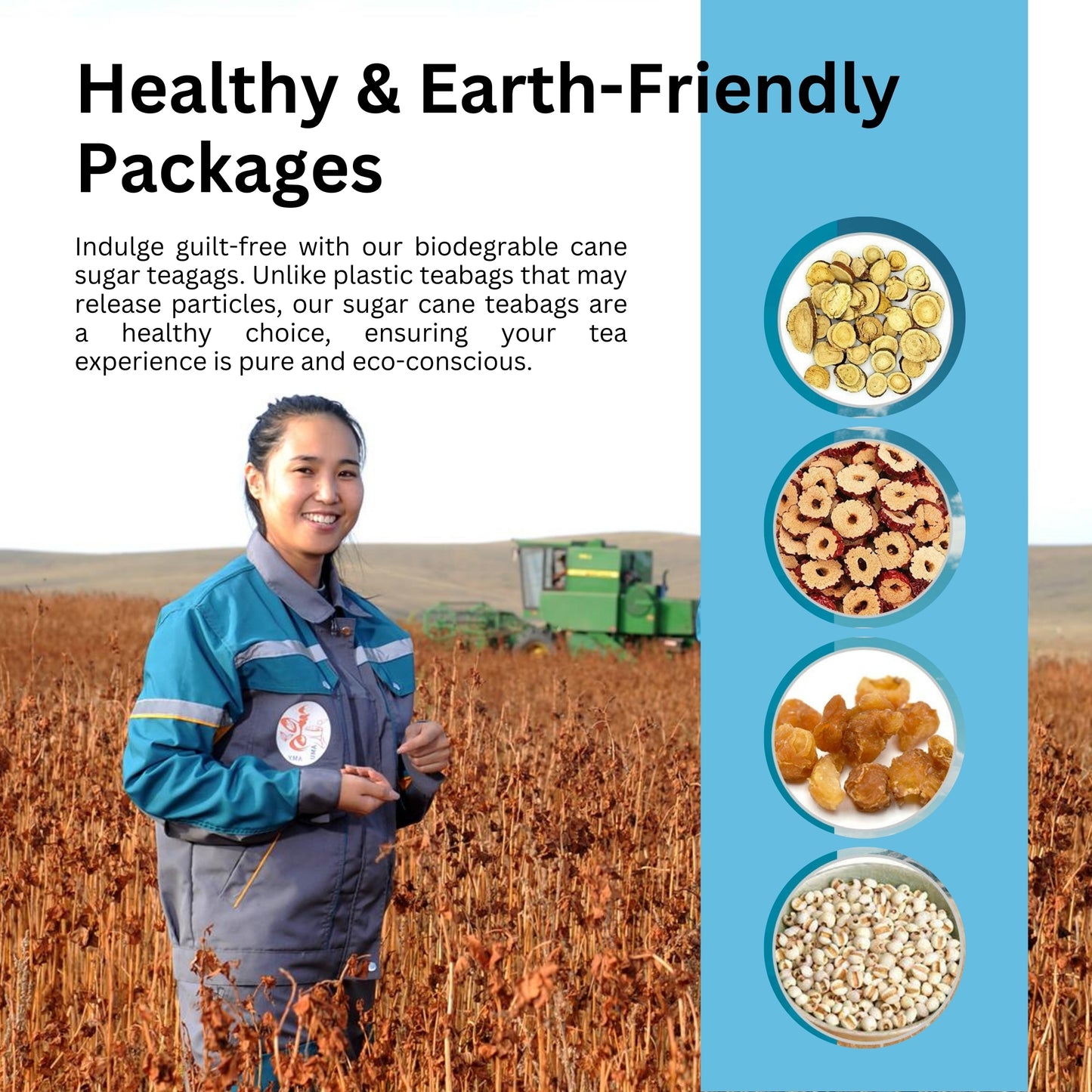 Breathe Tea – Kid-Friendly Winter Remedy for Dry Cough, Asthma Support & Lung Health, Reduces Dampness with Licorice, Jujube, and Job's Tears – Sweet, Non-Minty Flavor-10 Sugarcane tbgs