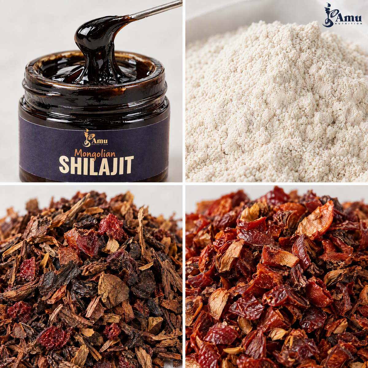 Winter Wellness Kidney Support Set - Shilajit, Black Beans, 3 Teas + Written Class