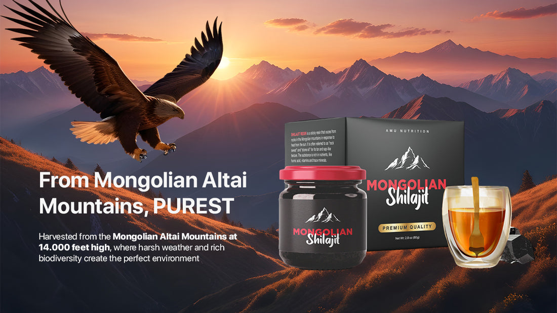 Mountain Elixir: Shilajit and Its Timeless Wisdom