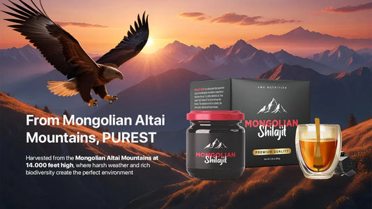 Mountain Elixir: Shilajit and Its Timeless Wisdom Mongolian Herbal Tea & Shilajit | Amu Nutrition