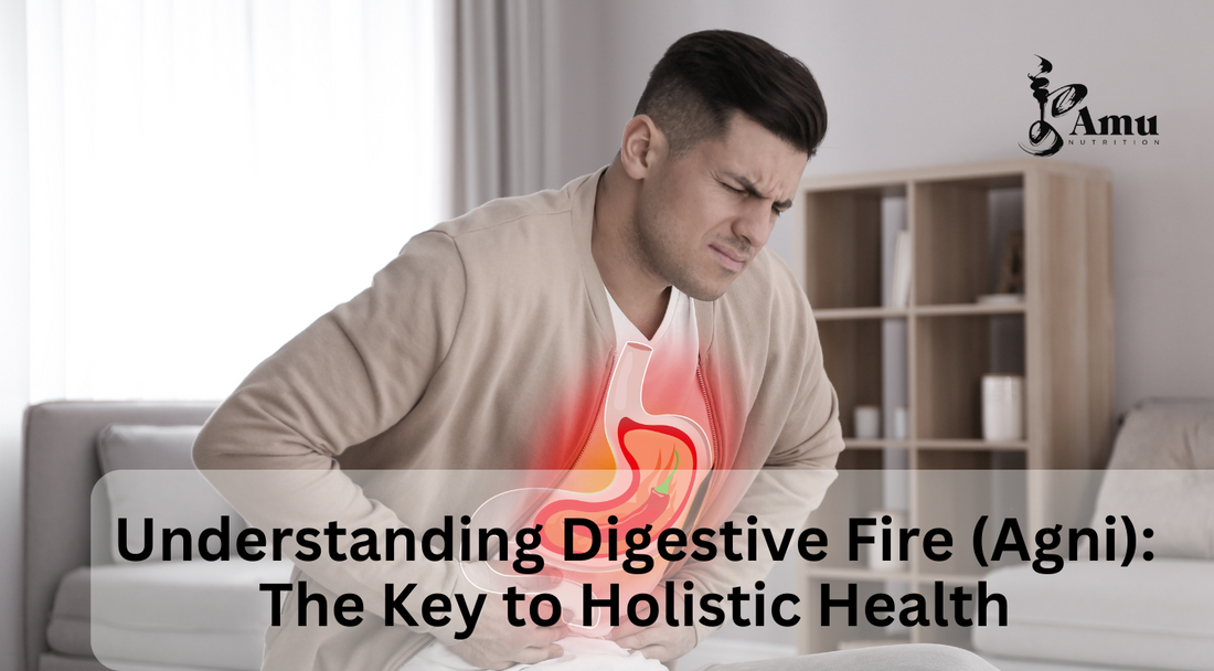 Discover the importance of digestive fire (Agni) in holistic health. Learn how personalized nutrition consultation can enhance your well-being through Mongolian Traditional Medicine and Ayurveda.