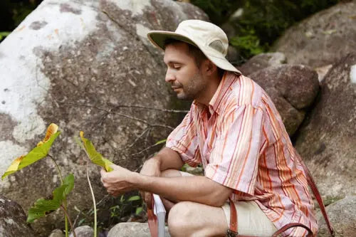 Evidence on Mineral Absorption From Ancient Plant Deposits