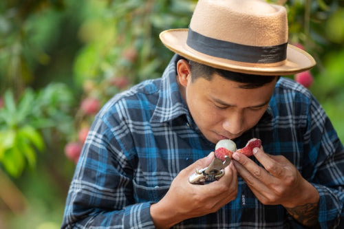 Challenges of Authenticating Traditional Supplements From Remote Regions