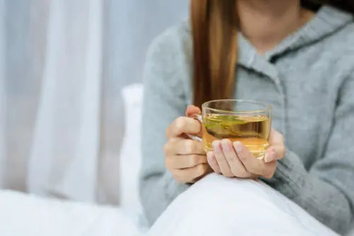 Herbal Infusions Used for Focus and Cognitive Support