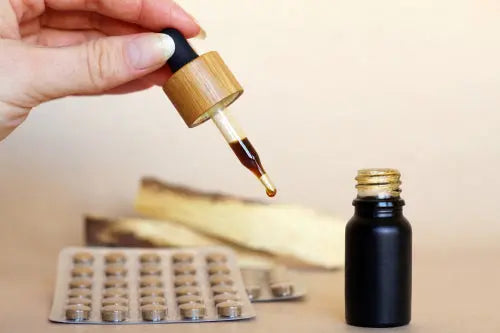 Shilajit Dosage Guidelines and Usage Explored in Recent Studies