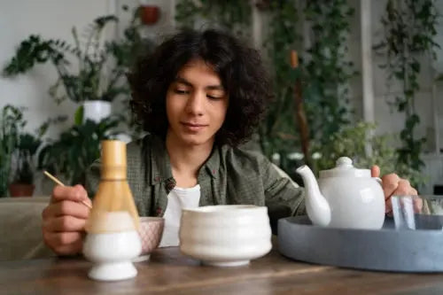 Mongolian Traditional Medicine's Influence on Modern Adaptogenic Approaches