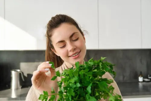 Natural Detox Support Through Plant-Based and Mineral-Infused Supplements