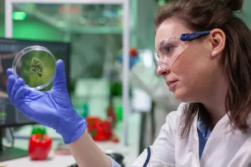 Researchers Examine Fulvic Acid's Role in Cellular Energy and Nutrient Absorption