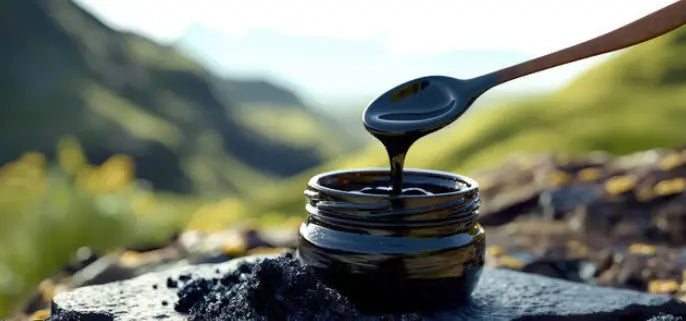 Mongolian Altai Shilajit: Sourcing and Quality Standards