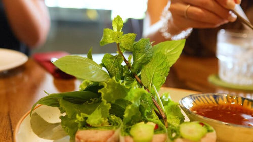 What Makes Nettle, Fennel, and Jujube Useful in Herbal Blends