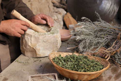 How Ancient Plant Wisdom Fits Modern Health Goals