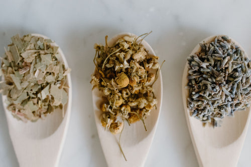 How Herbal Wellness Fits Busy Modern Lives