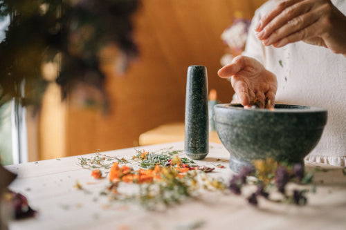 How to Build a Herbal Wellness Routine