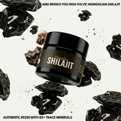 Pure Mongolian Shilajit Resin