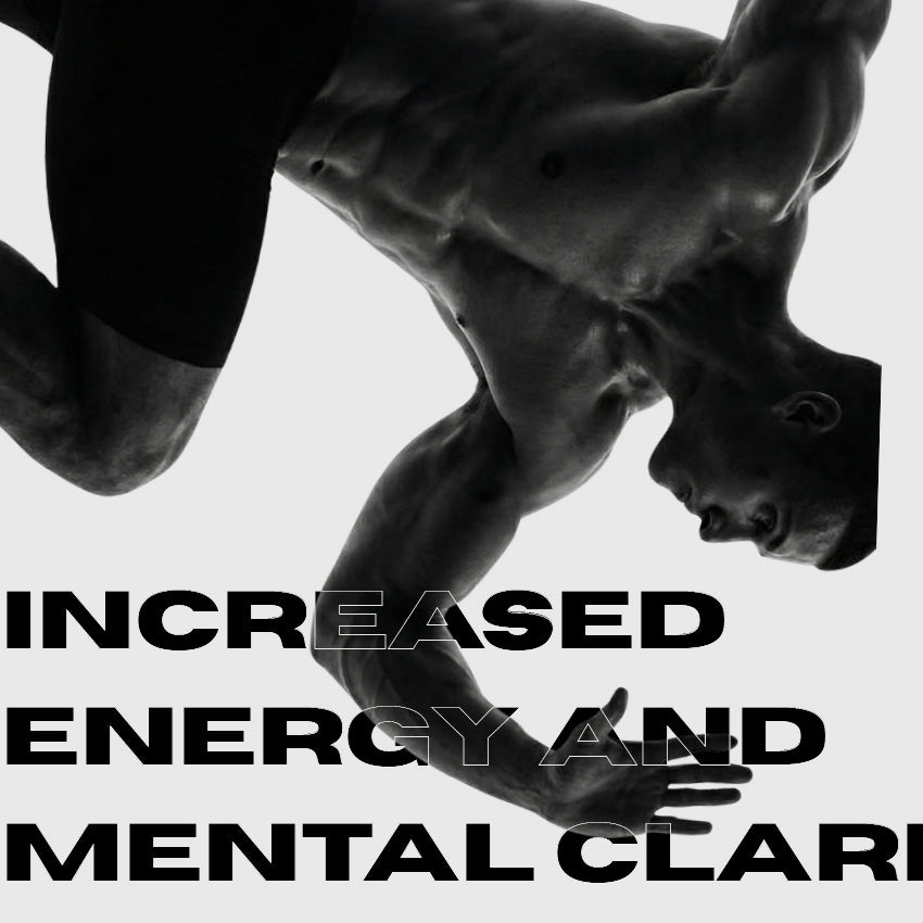 Pure Mongolian Shilajit Resin