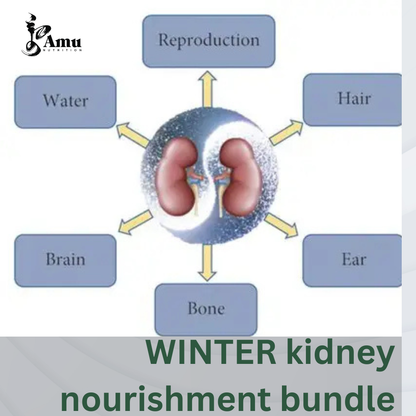 Winter Kidney Nourishment Bundle