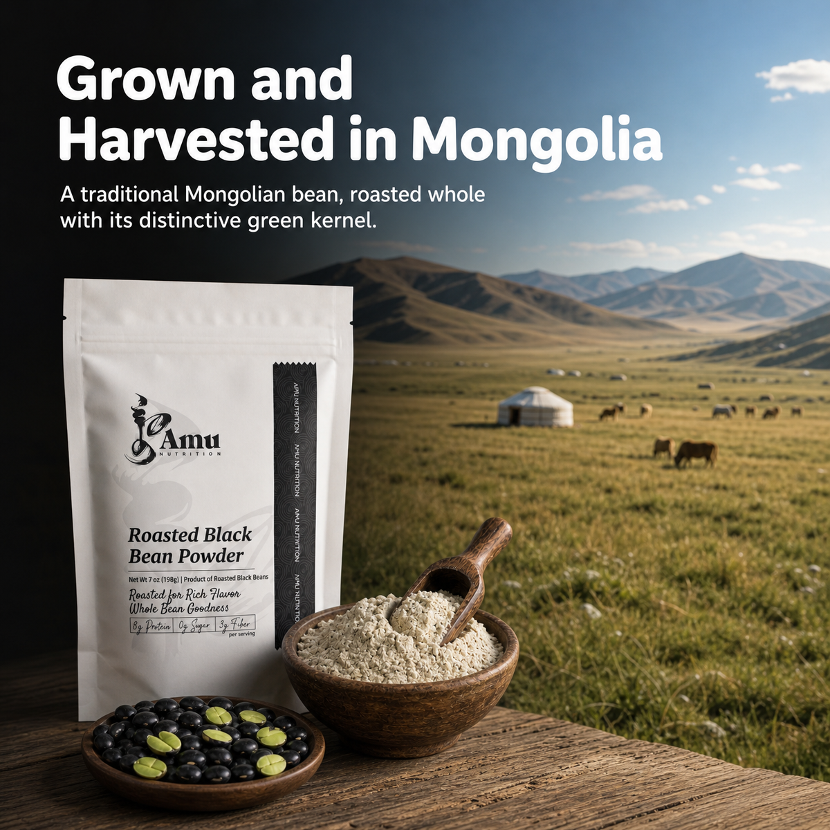 Roasted Black Bean Powder – 198 g Plant-Based Protein Superfood