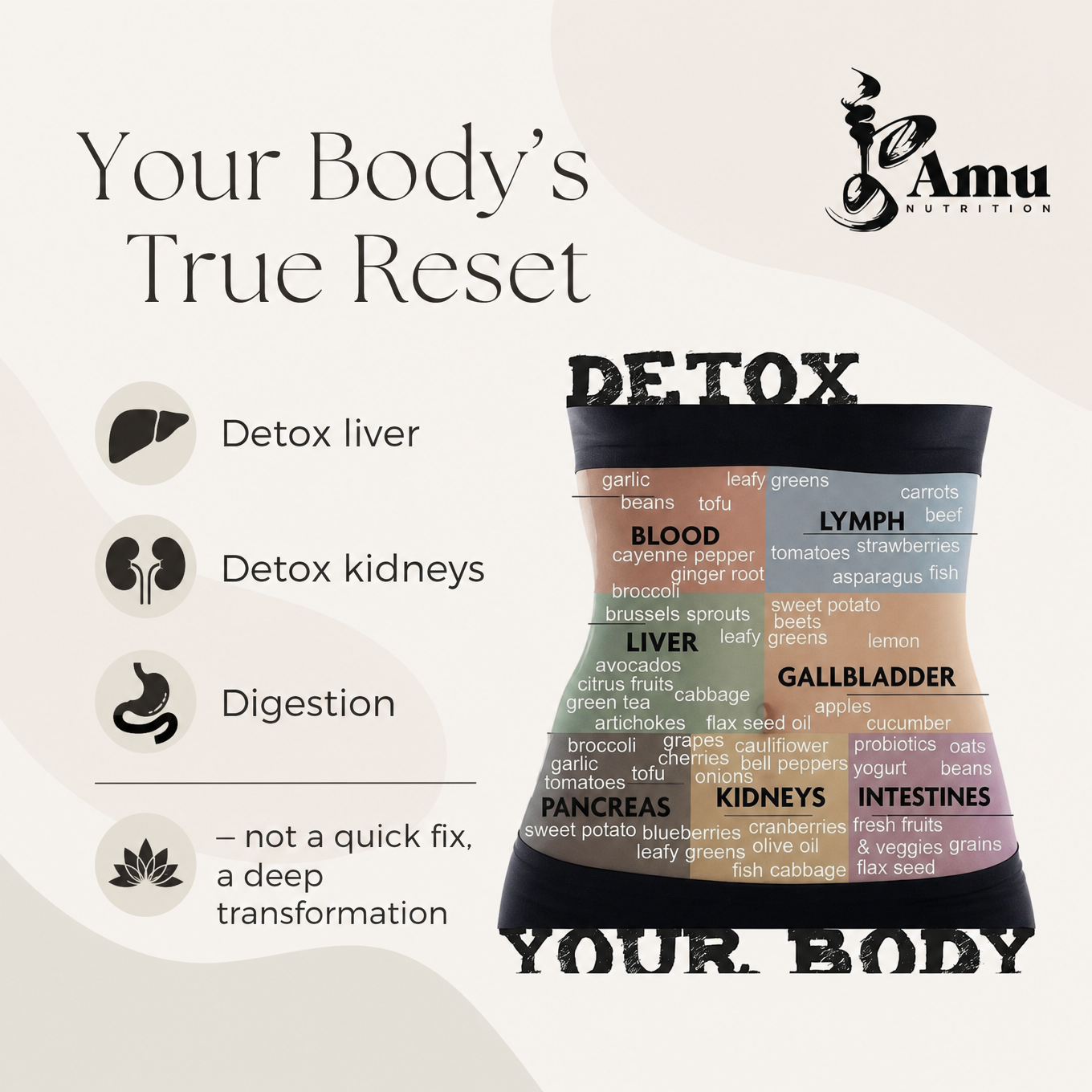🌿 DETOX 14 Full-Body Reset  | Traditional Mongolian Herbal Cleanse Kit