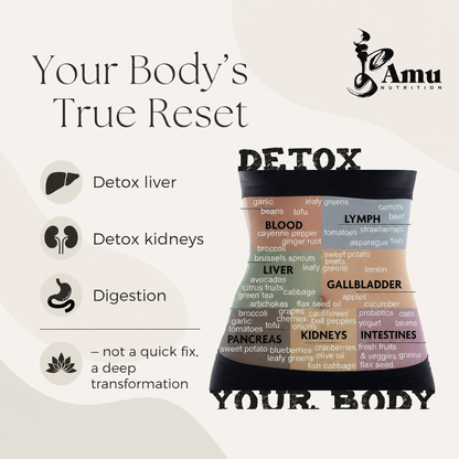 🌿 DETOX 14 Full-Body Reset  | Traditional Mongolian Herbal Cleanse Kit