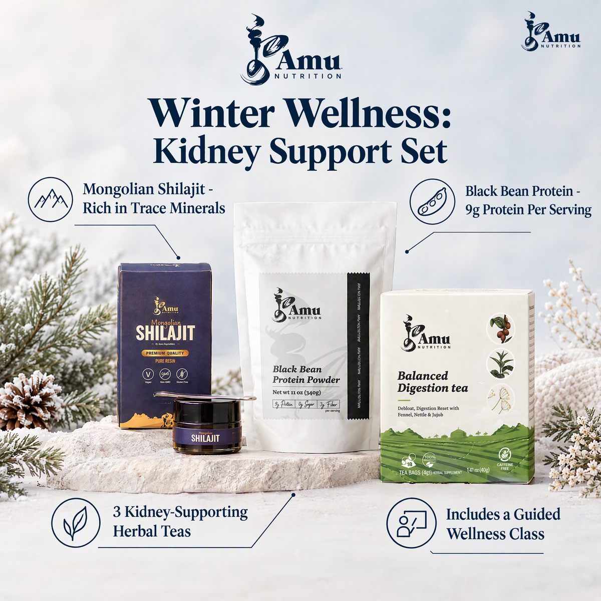 Winter Wellness Kidney Support Set - Shilajit, Black Beans, 3 Teas + Written Class