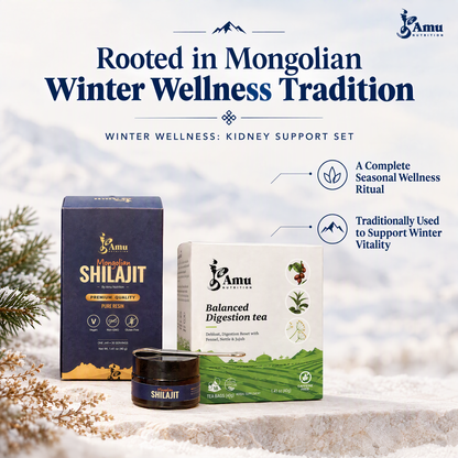 Winter Wellness Kidney Support Set - Shilajit, Black Beans, 3 Teas + Written Class