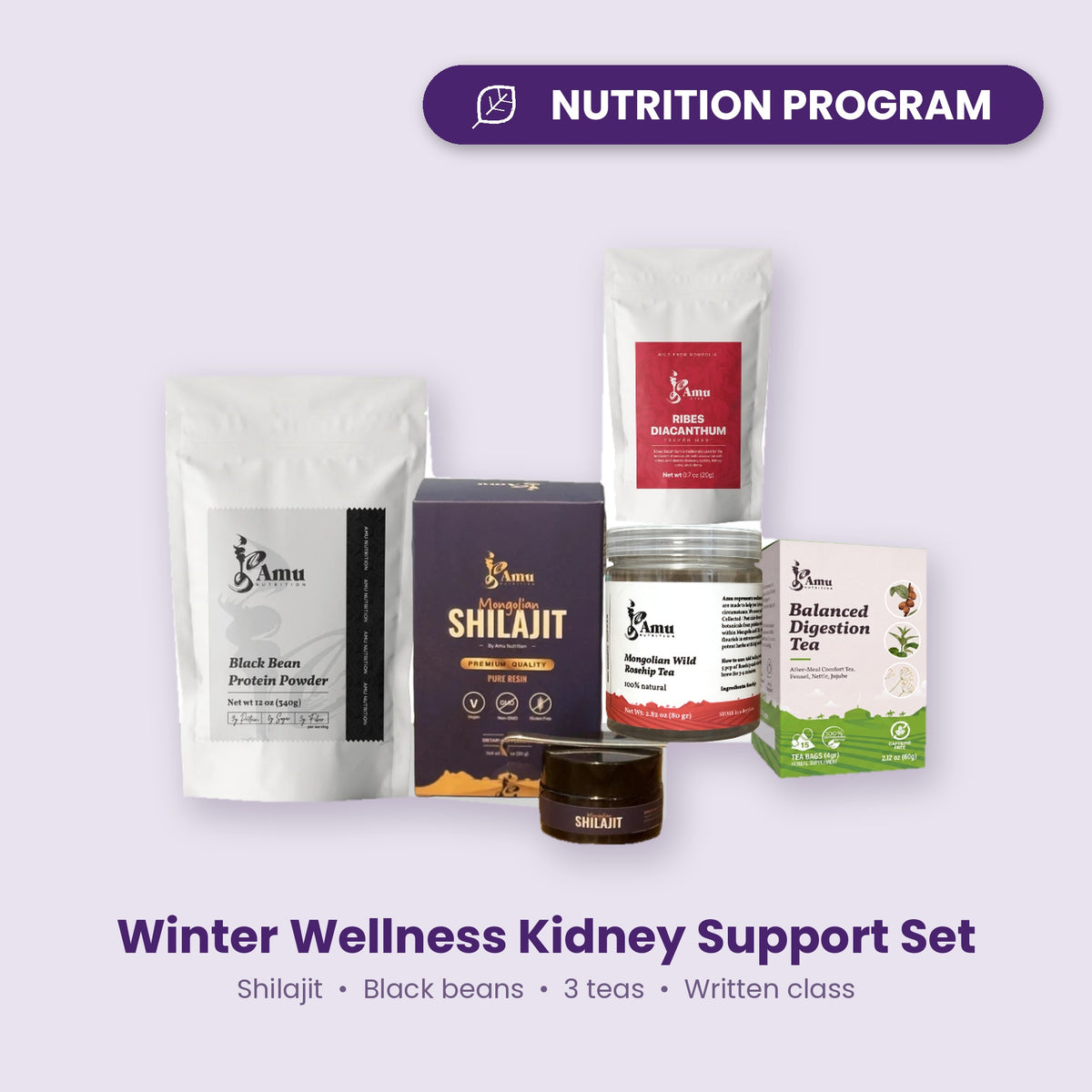 Winter Wellness Kidney Support Set - Shilajit, Black Beans, 3 Teas + Written Class
